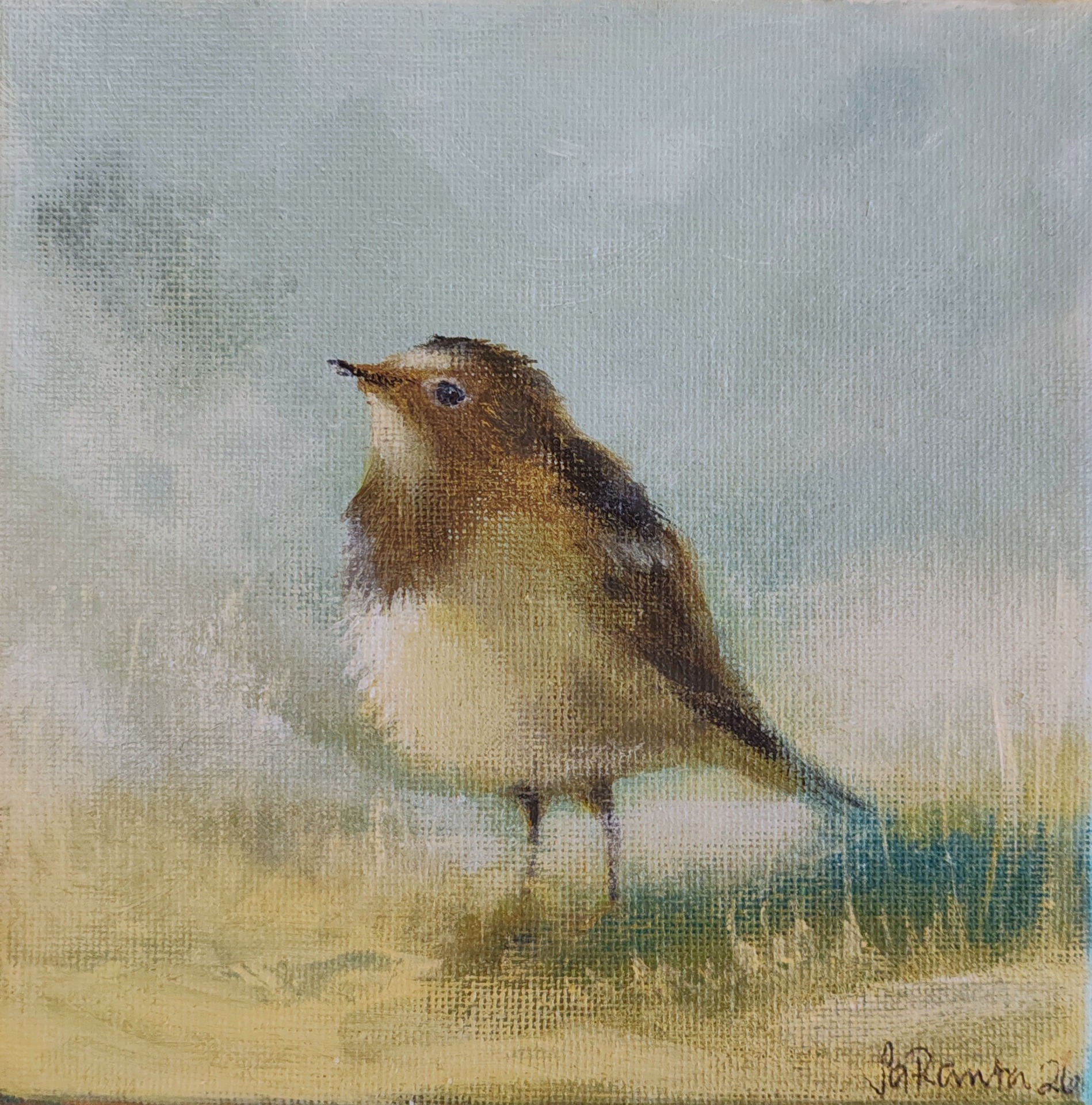 PIENI PULLEA TIRPPANA 2..... 15X15cm. 40€