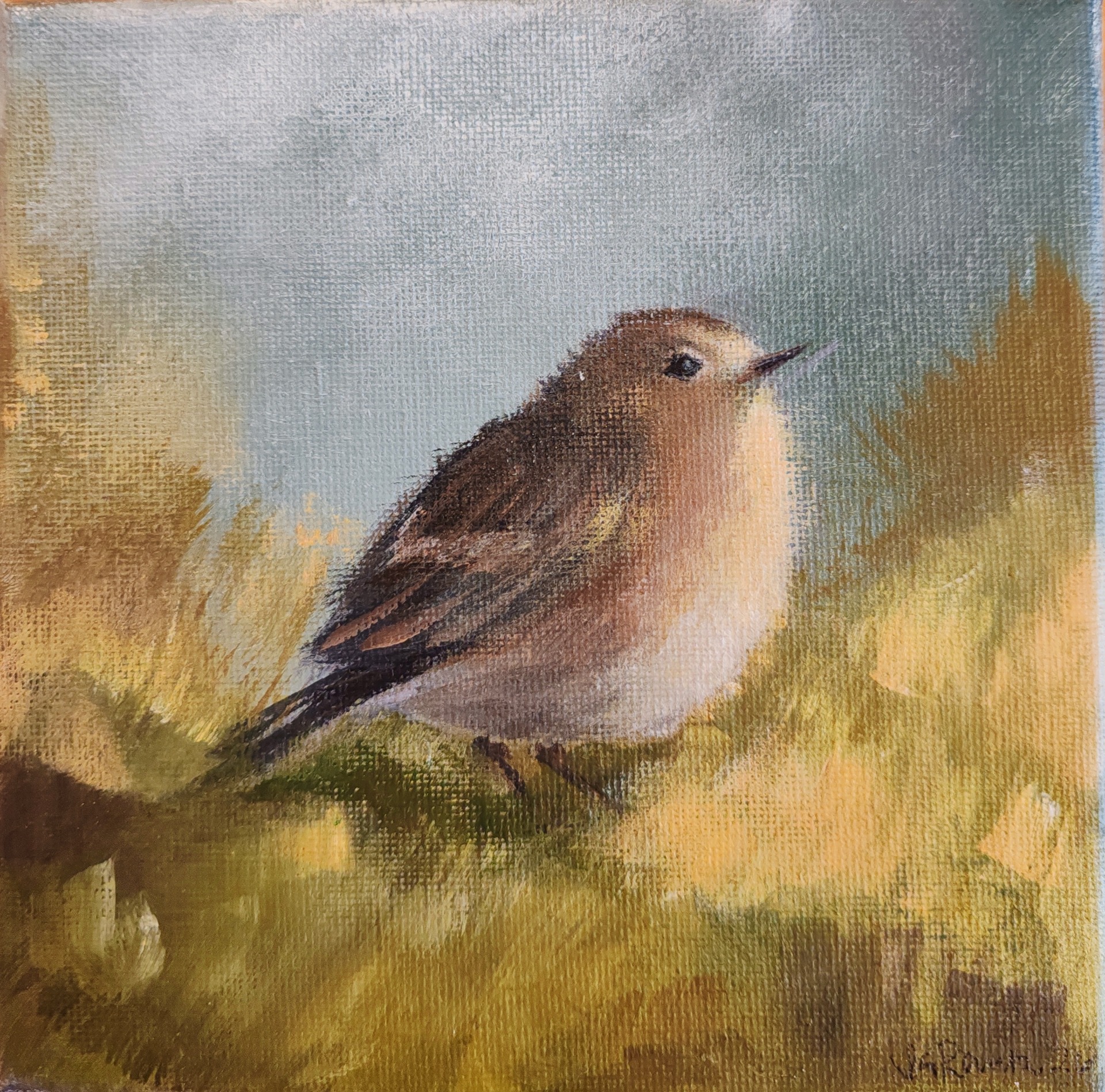 PIENI PULLEA TIRPPANA 1...... 15X15cm. 40€